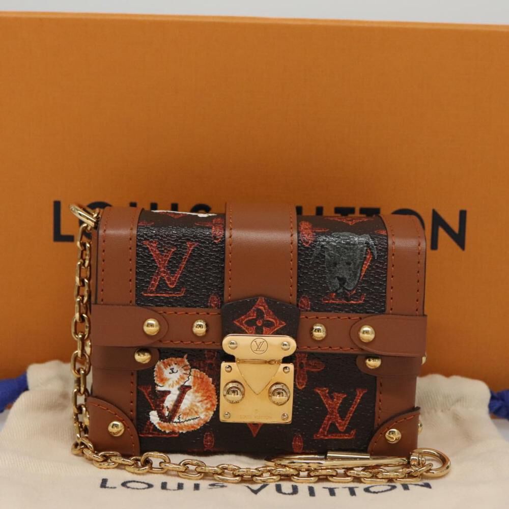 Louis Vuitton Pouch