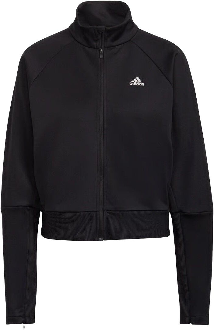 X Zoe Saldana Sweatshirt