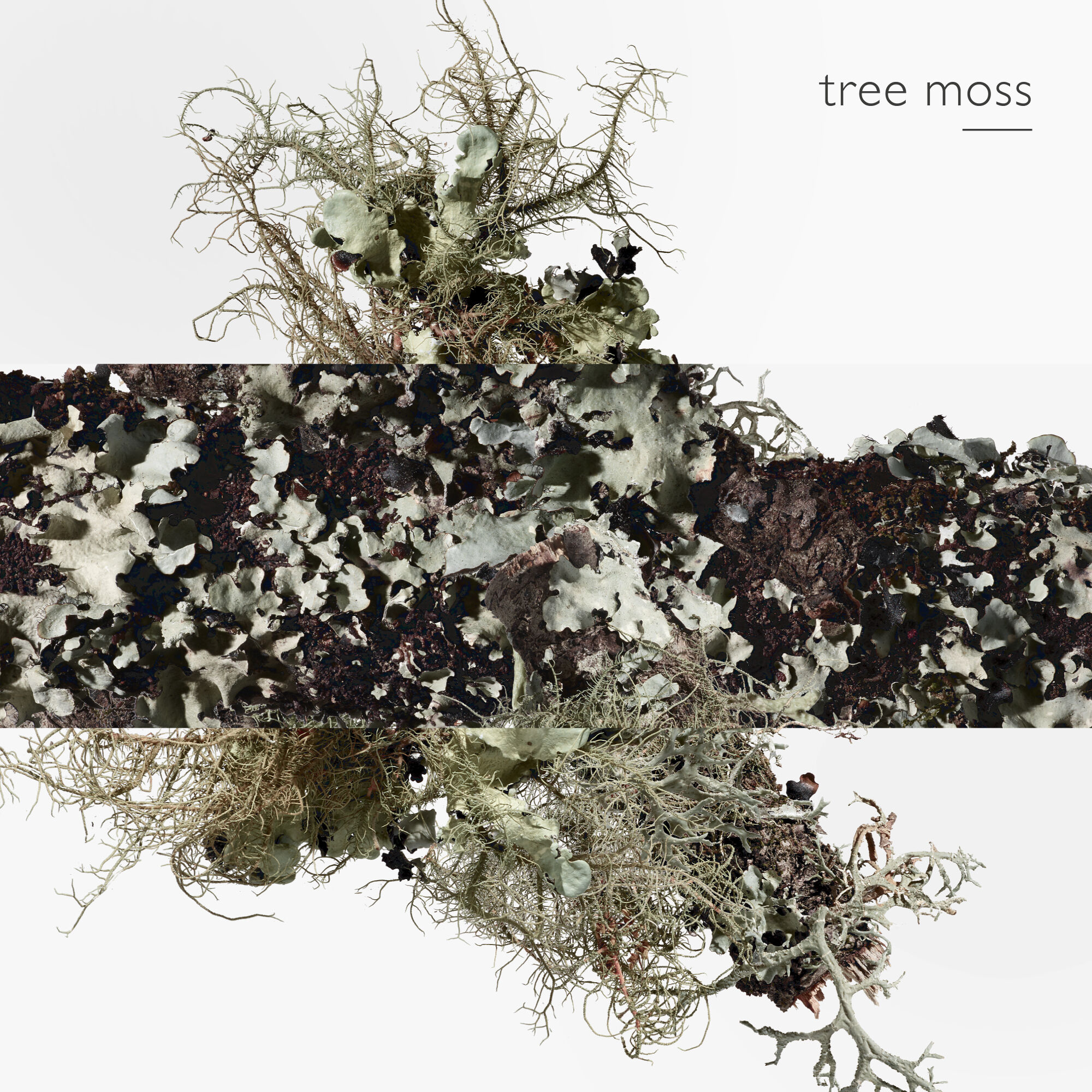 EAU D'ORANGE VERTE EAU DE TOILETTE 50 ML