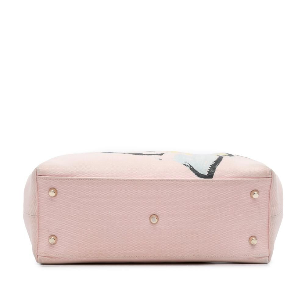 Dior Handbag