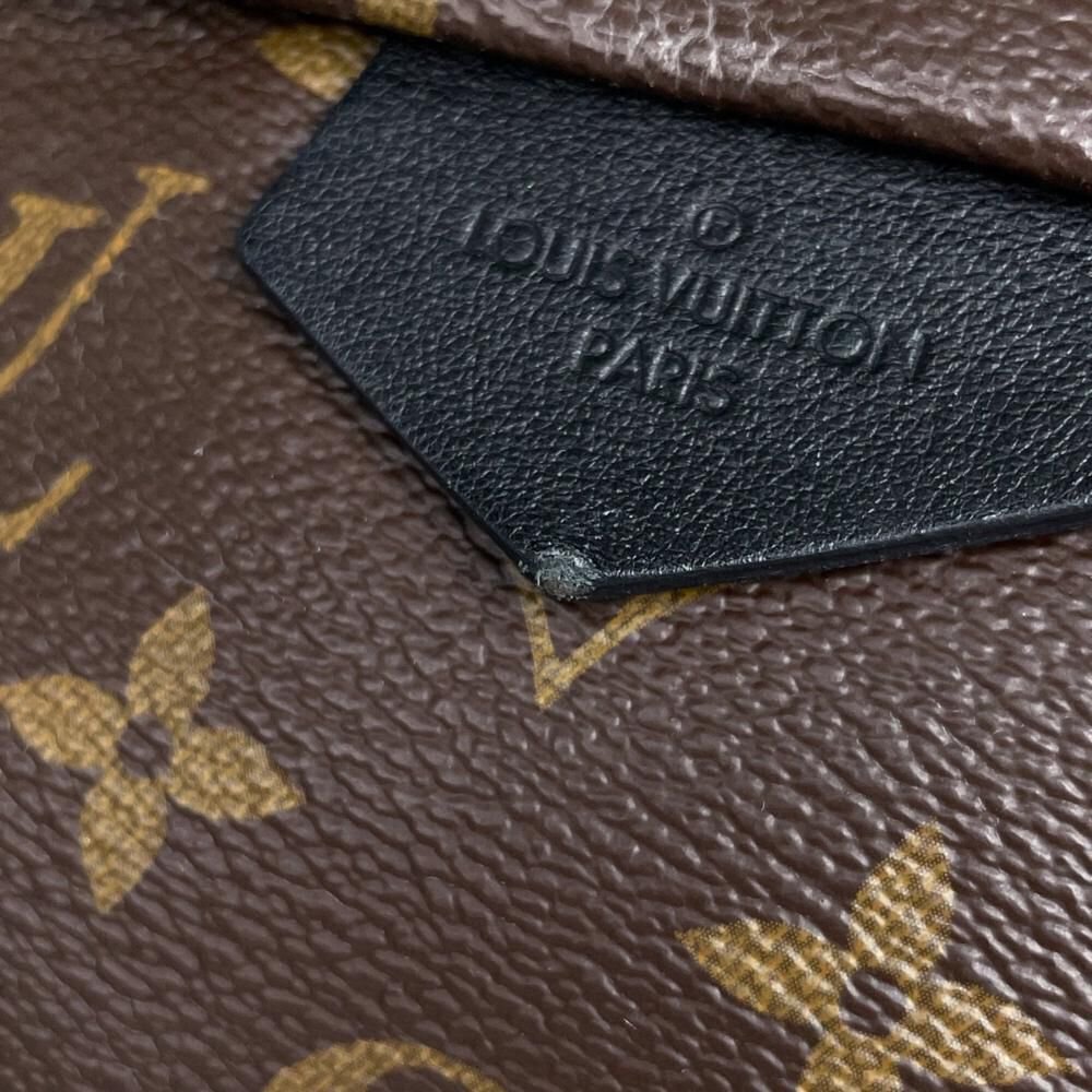 Louis Vuitton Palm Springs