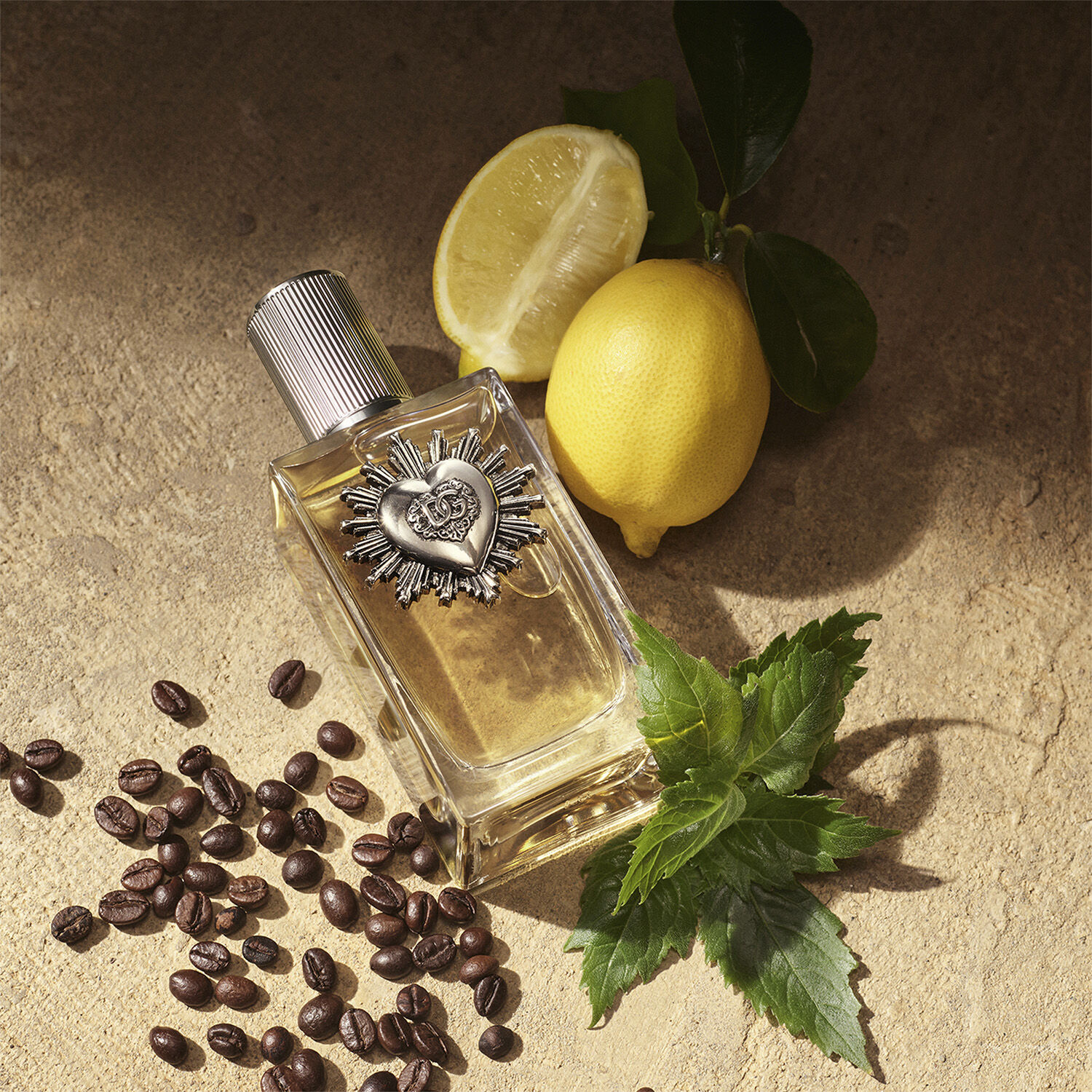 Dolce & Gabbana Devotion Male Eau de Parfum