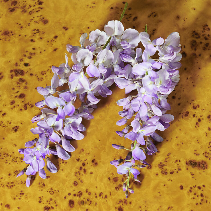 Guilty Elixir de Parfum