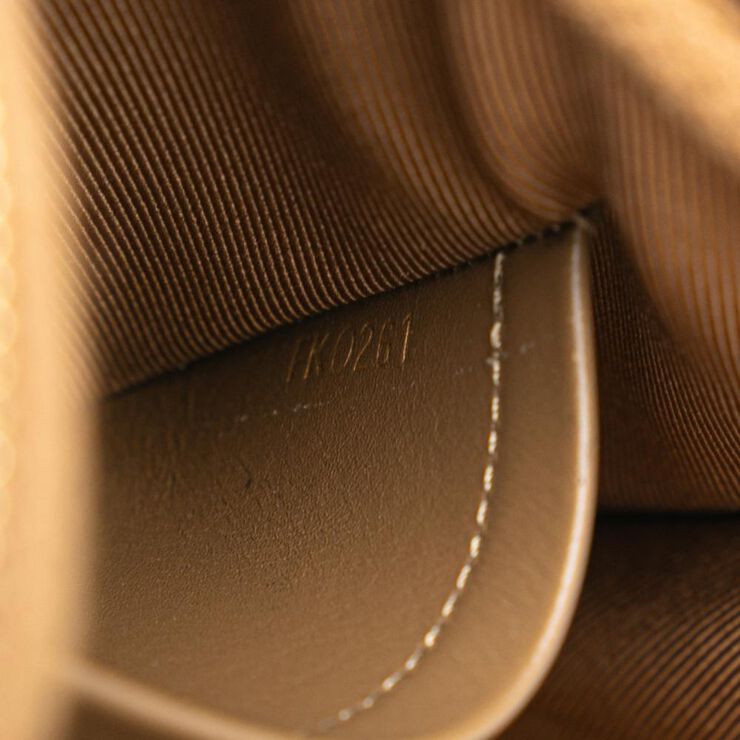 Louis Vuitton Crossbody Bag