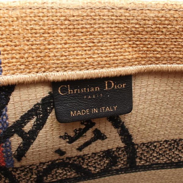 Dior Book Tote