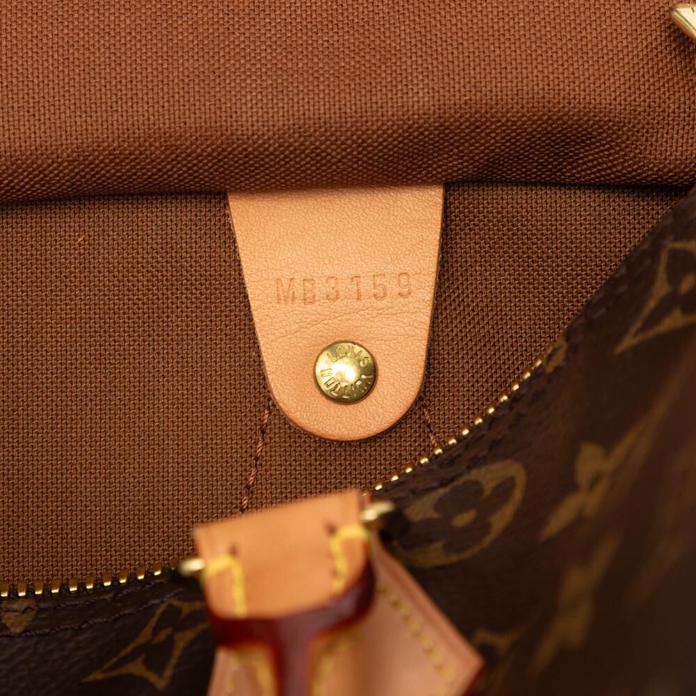 Louis Vuitton Speedy