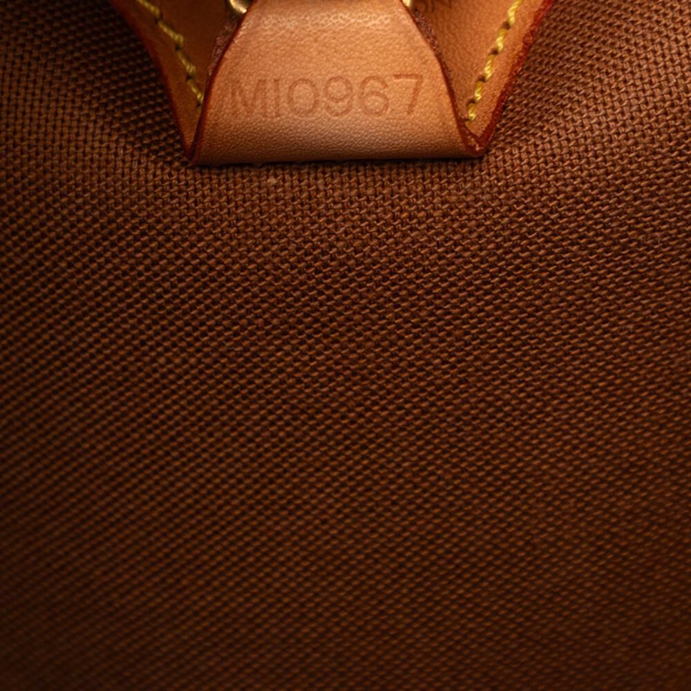 Louis Vuitton Ellipse