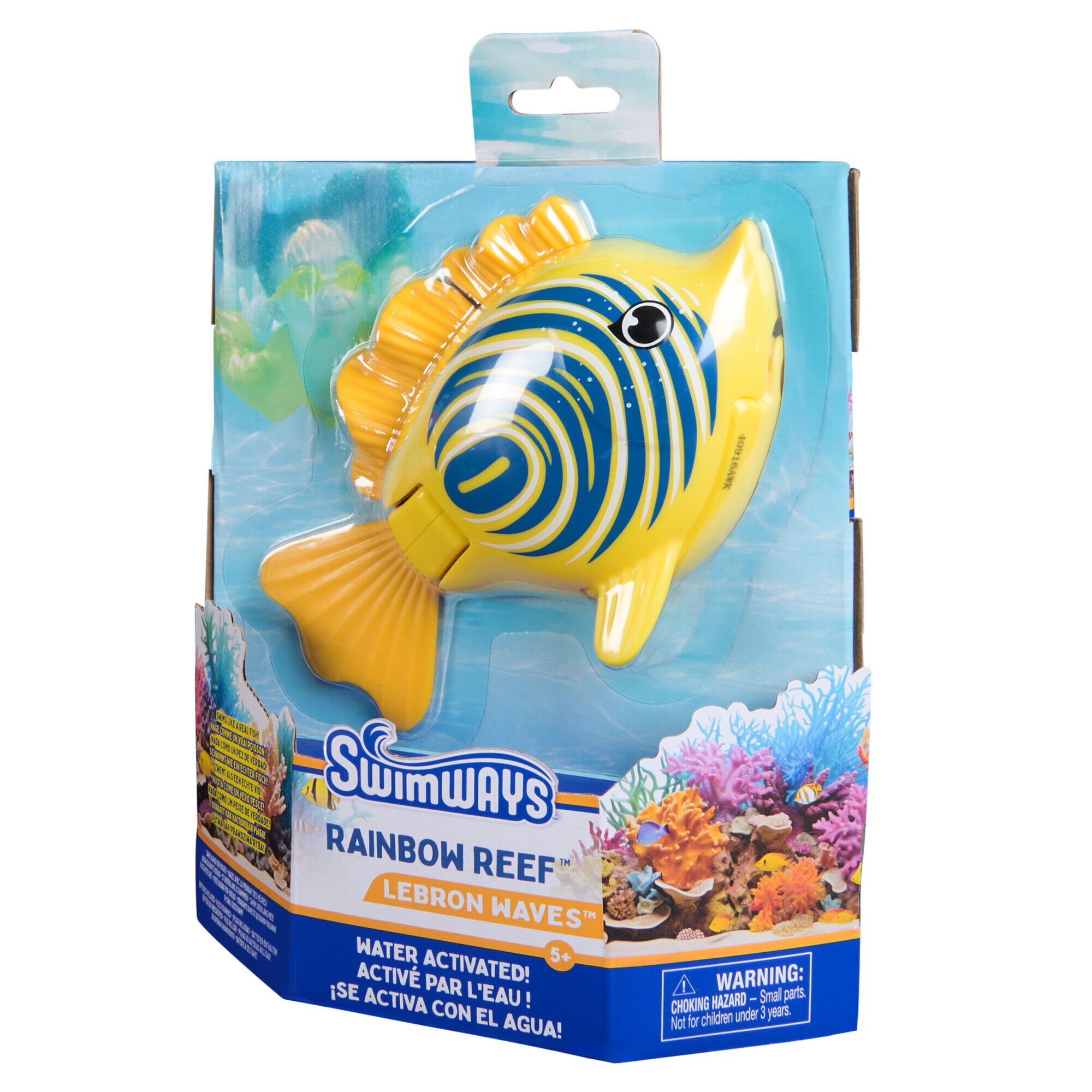 Rainbow Reef Fish - Zebra