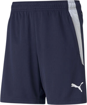 Teamliga Training shorts