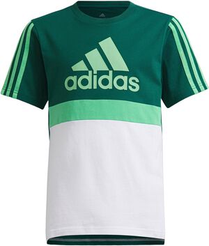Essentials Colorblock T-shirt