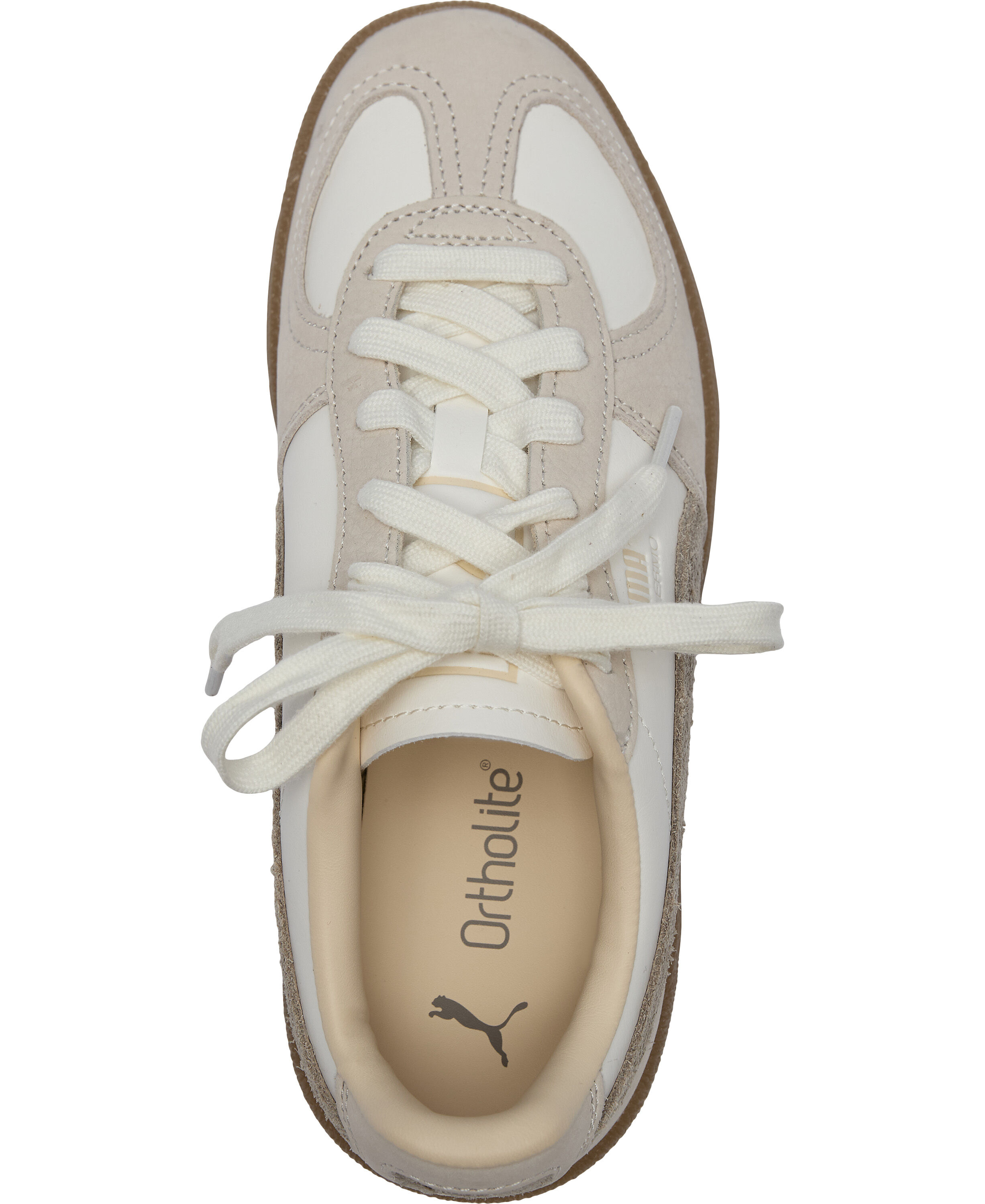 Palermo Elevated Wns