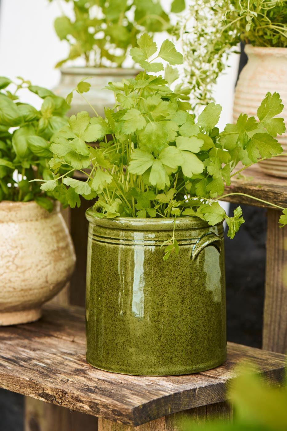 Skjuler m/&oslash;rer mosgr&oslash;n distressed