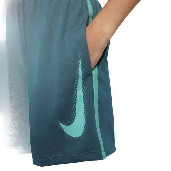 Dri-FIT Multi shorts