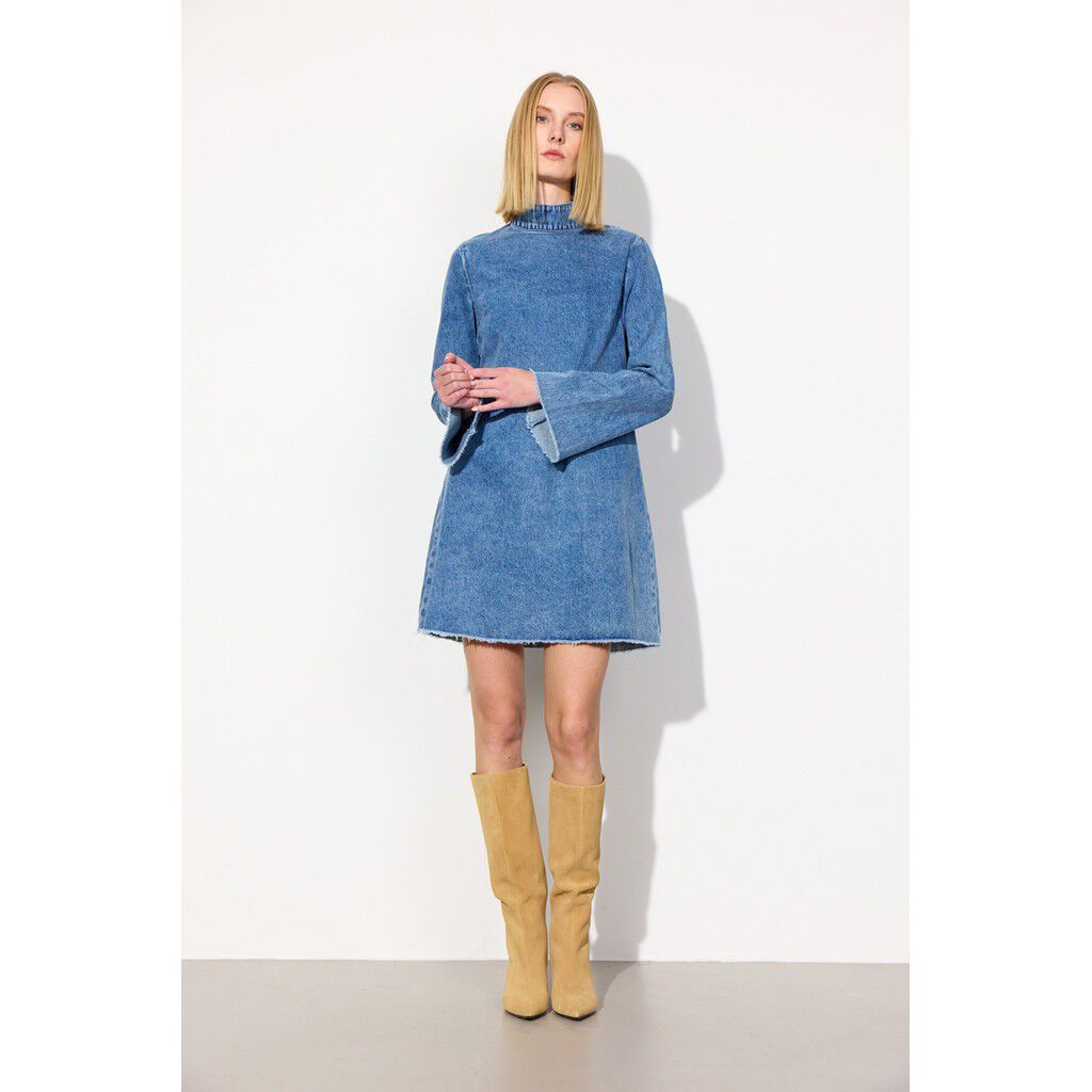Nala Denim Dress