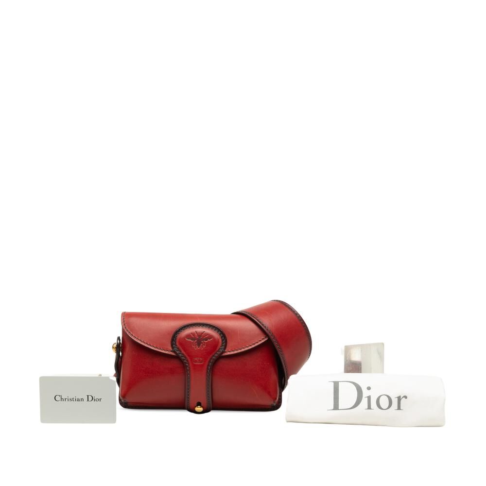 Dior Saddle Bag