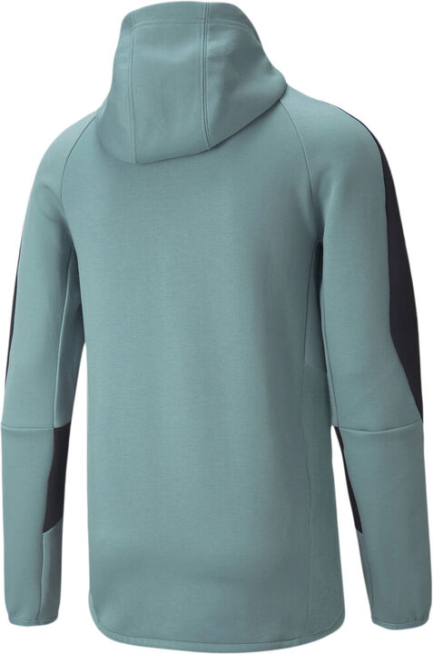 Evostripe Full-Zip hættetrøje
