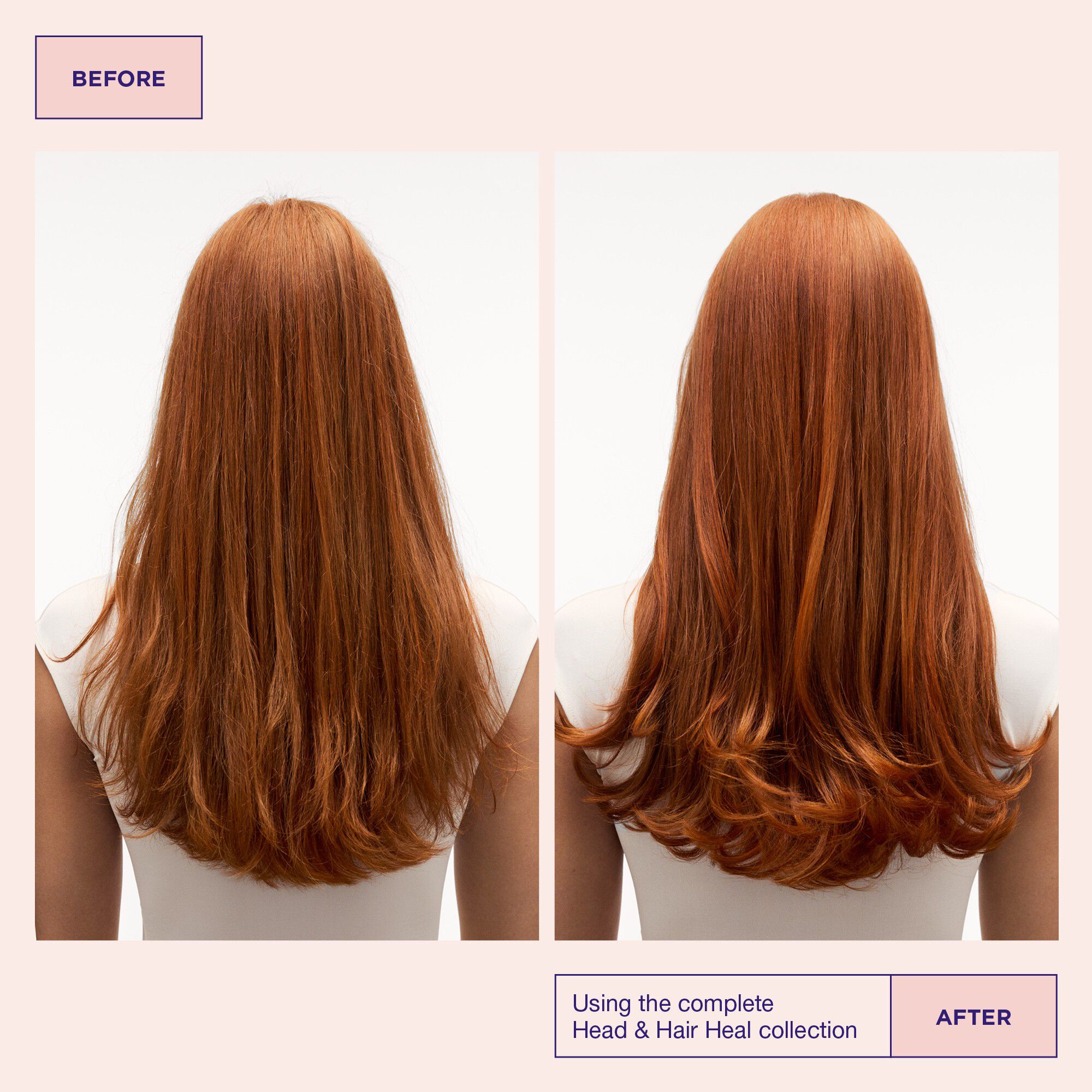 Head & Hair Heal Conditioner 100ml