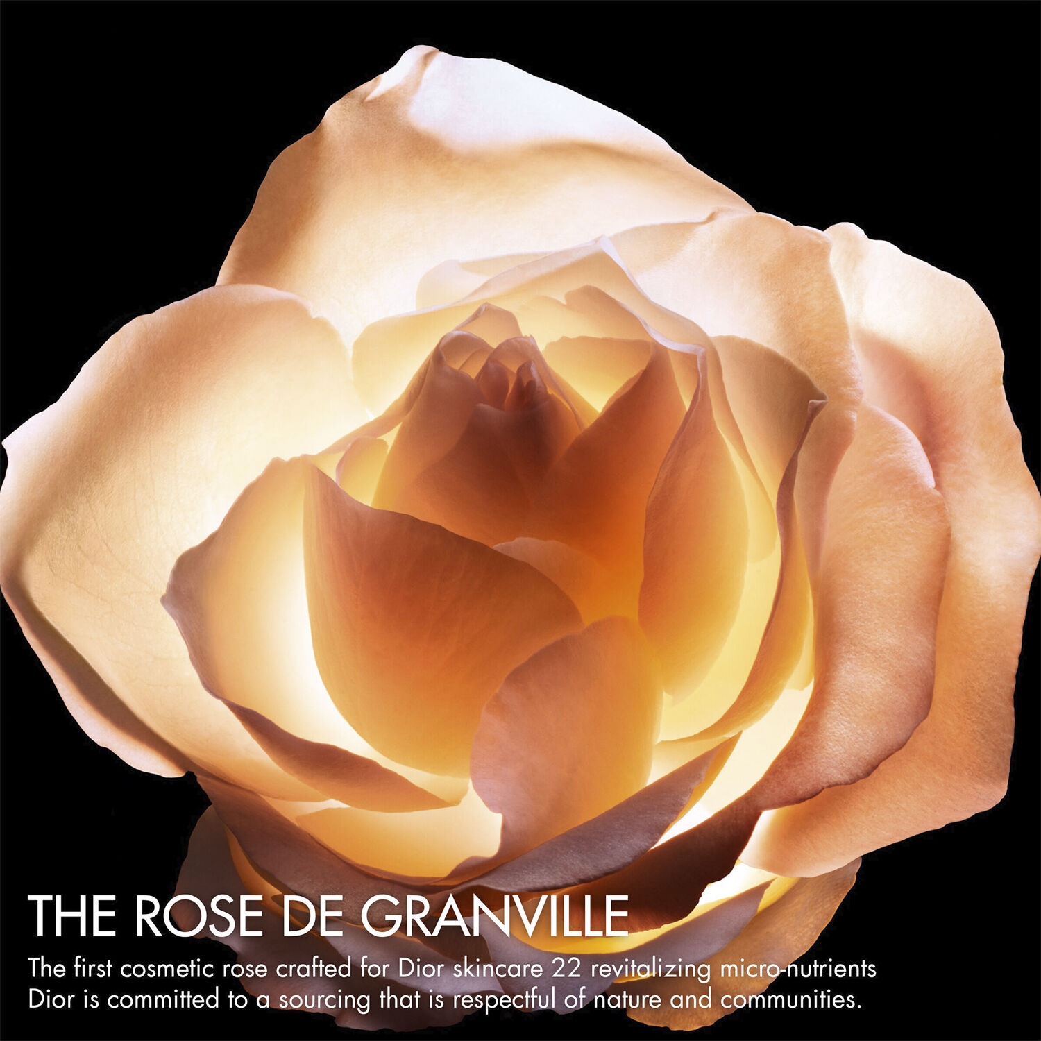 Dior Prestige Le Concentr&eacute; Yeux Anti-Aging Care for Eye Contour