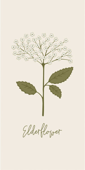 Serviet Elderflower 16 stk pr pakke