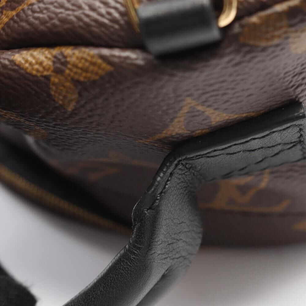 Louis Vuitton Palm Springs