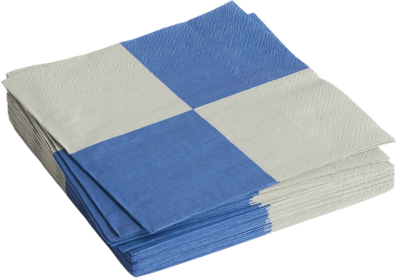 Pattern Napkins-Set of 20 Dinner-Grey and blue L check