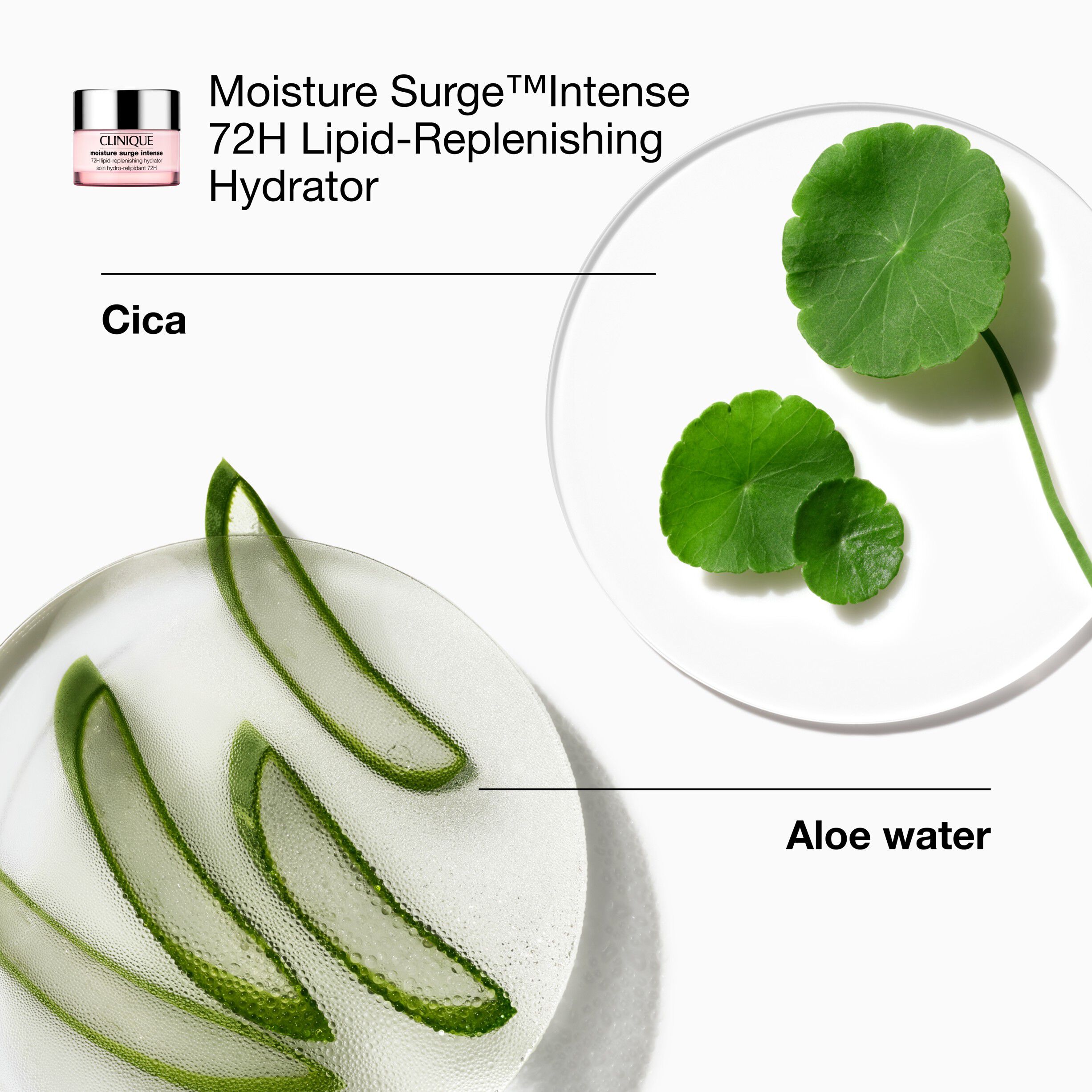 All-Over Hydration Set