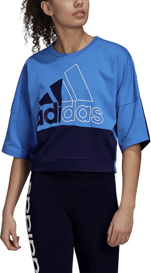 Must Haves Colorblock sweatshirt