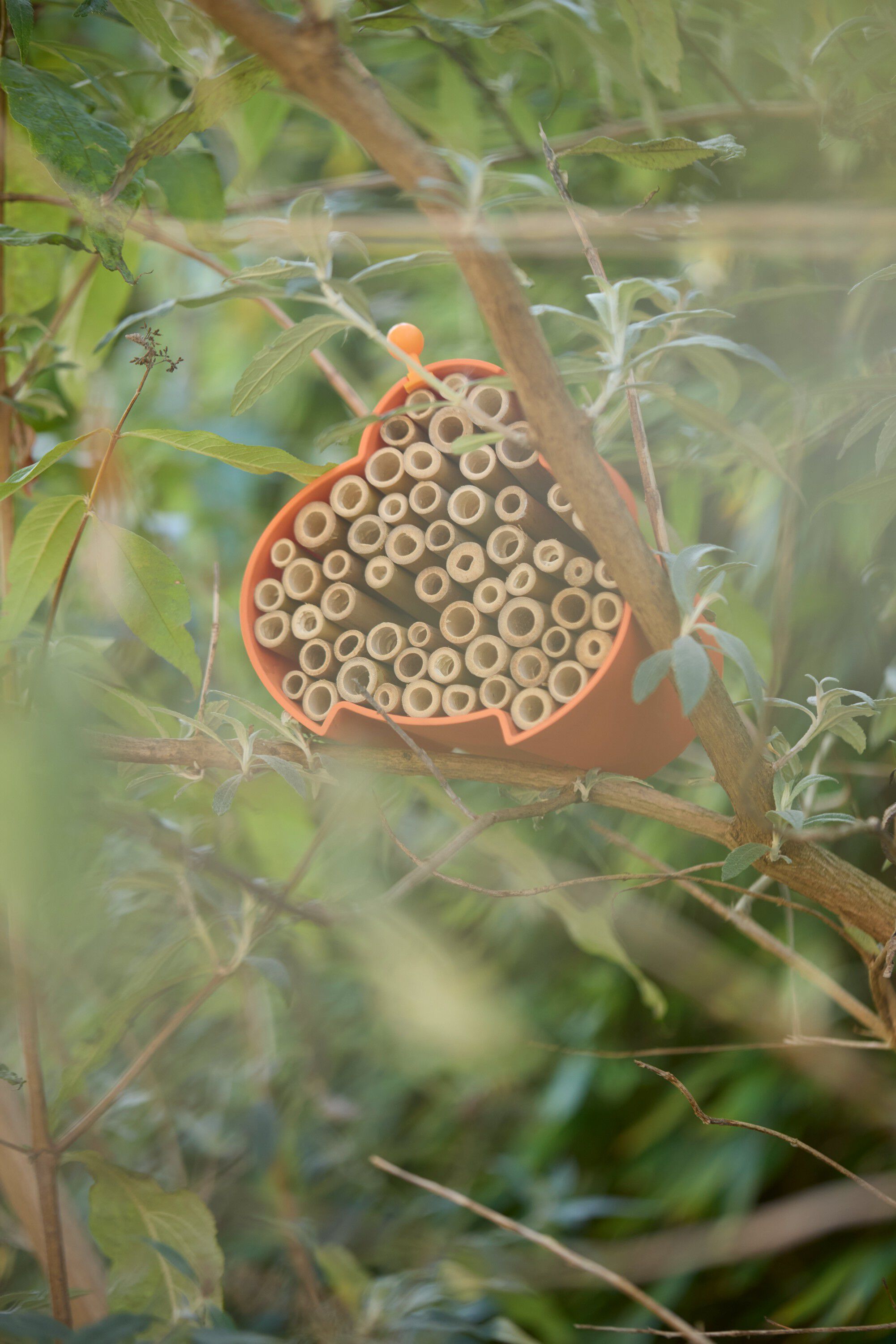 Bi- og insekthotel