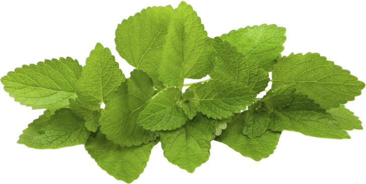 Organic Herbal Tonic