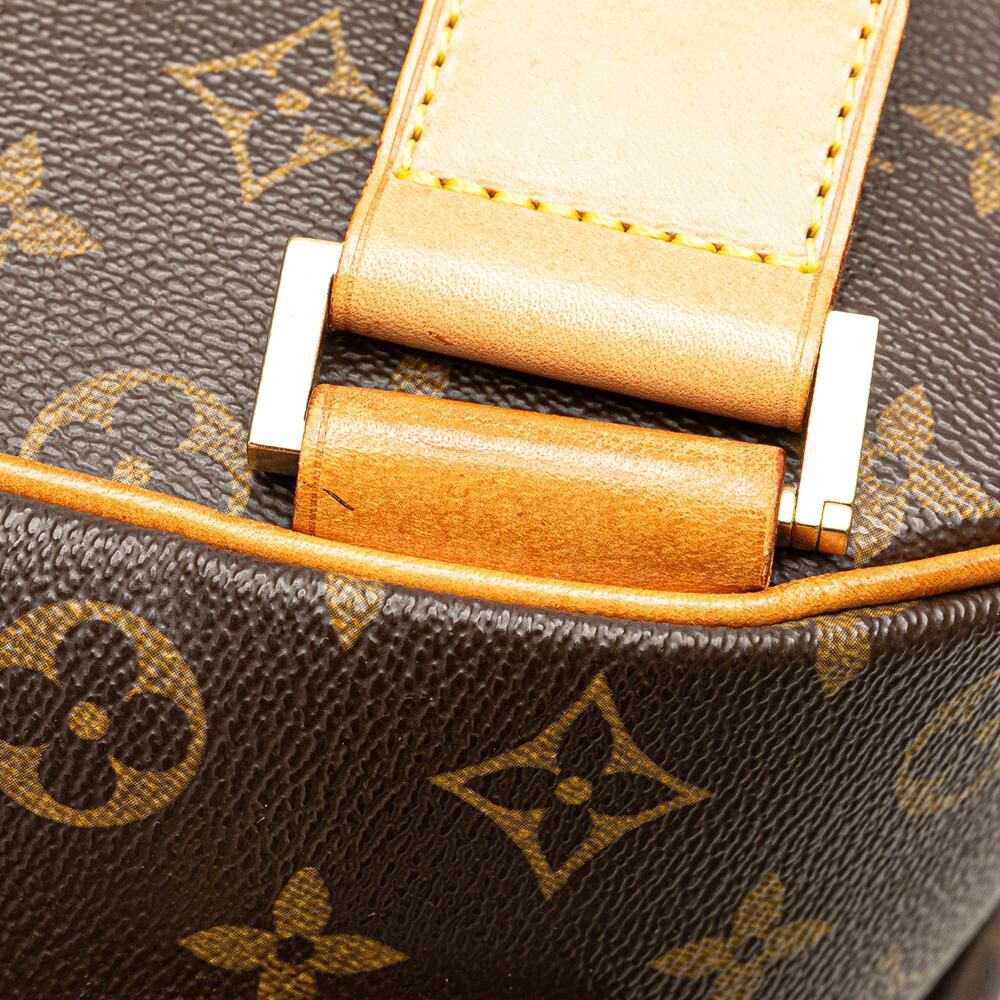 Louis Vuitton Packall