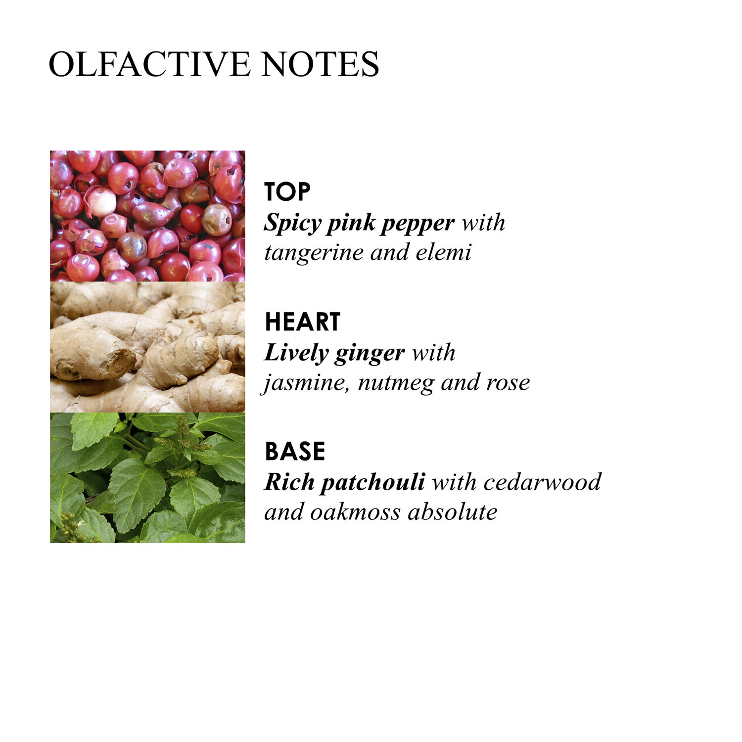 Fiery Pink Pepper Bath & Shower Gel