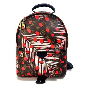 Louis Vuitton Backpack
