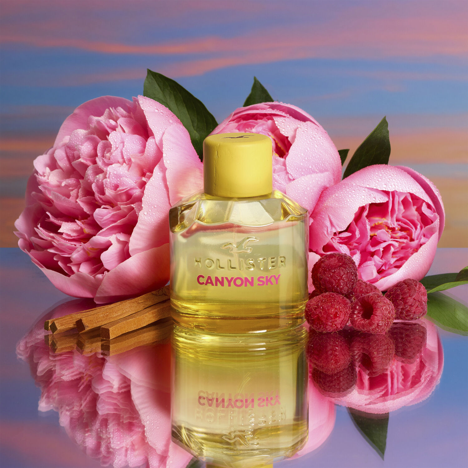 Hollister Canyon Sky For Her Eau de Parfum