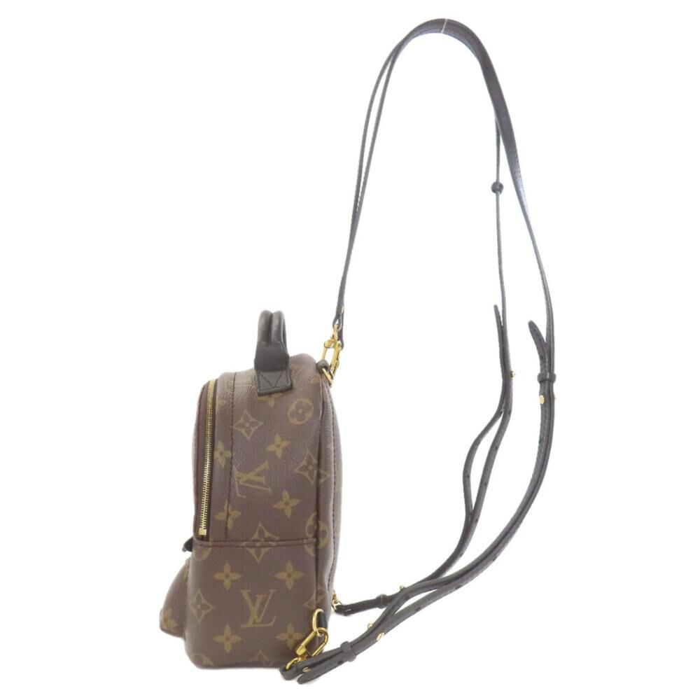 Louis Vuitton Palm Springs
