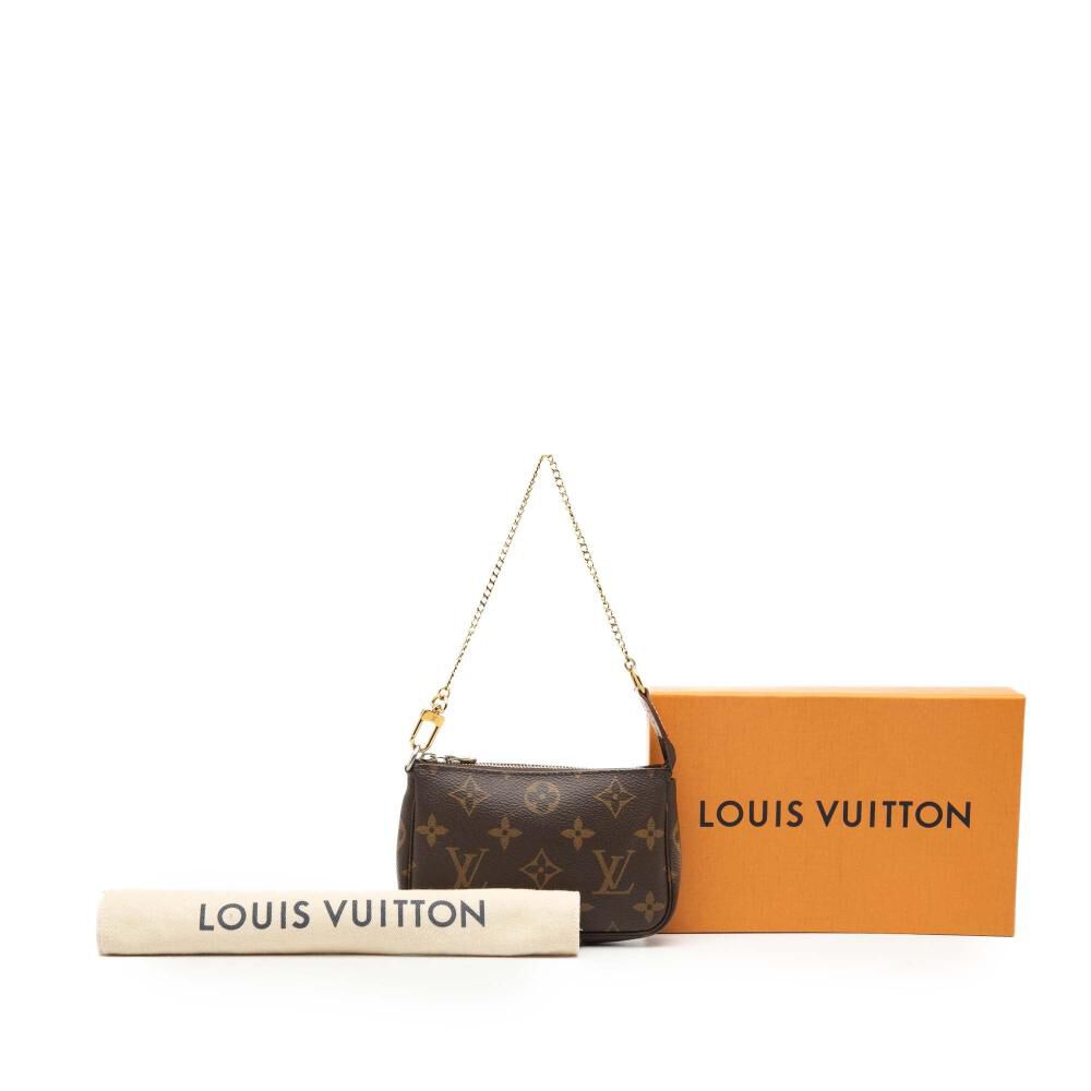 Louis Vuitton Pochette Accessoires