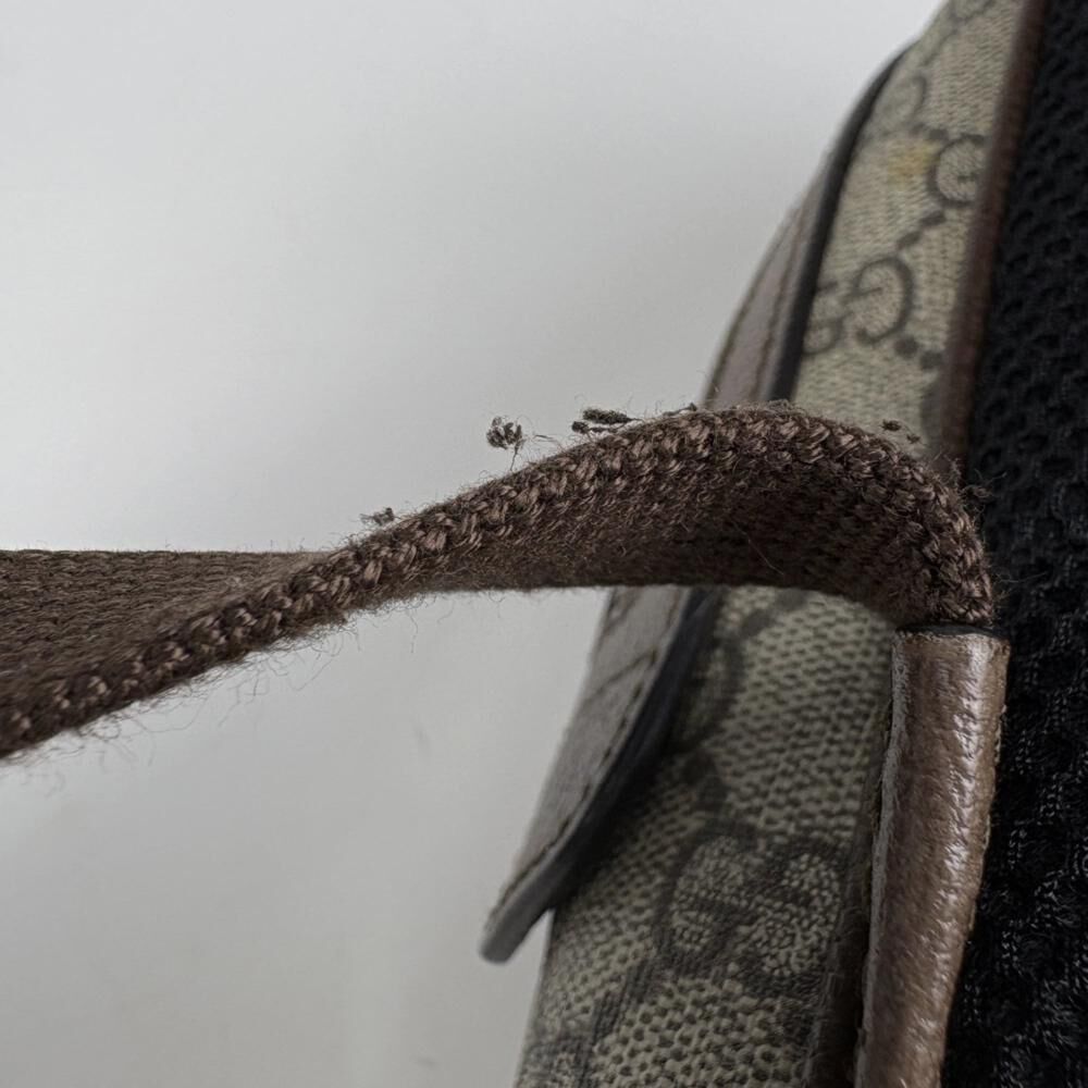 Gucci Ophidia
