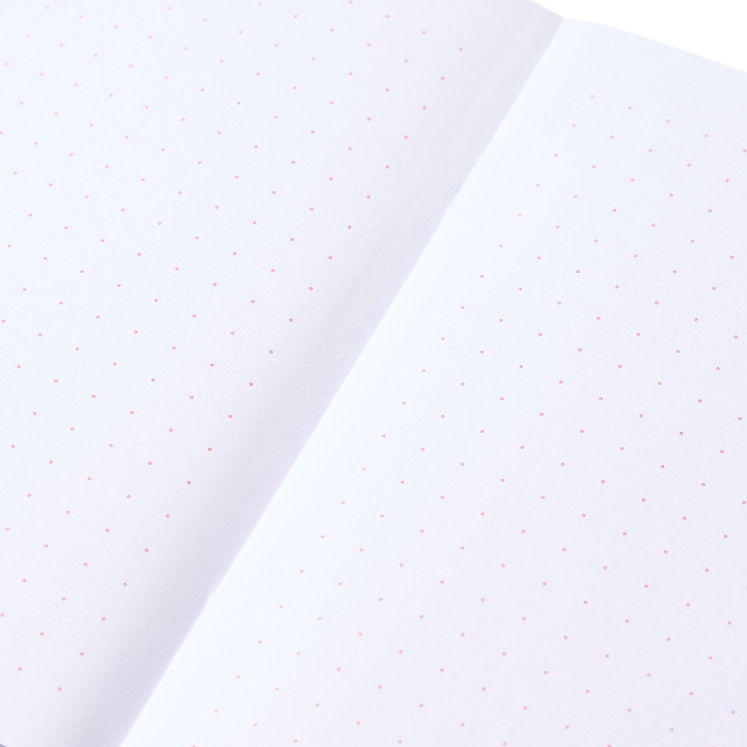Pantone BOOKLETS SET OF 2 DOTTED - Light Pink