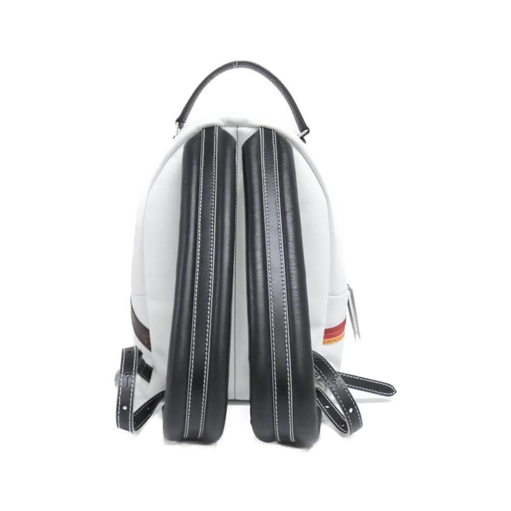 Louis Vuitton Palm Springs