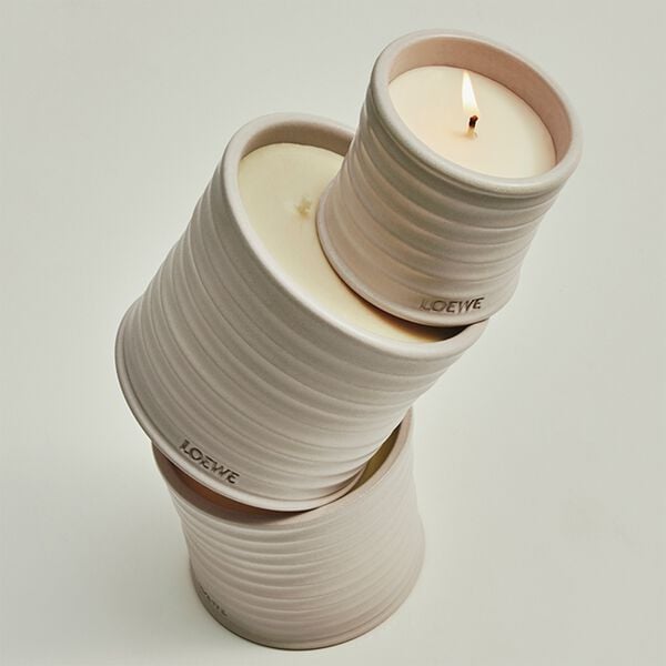LOEWE Oregano Medium Candle