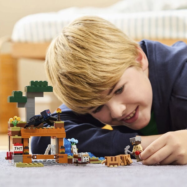 Bæltedyrs-mineekspeditionen 21269