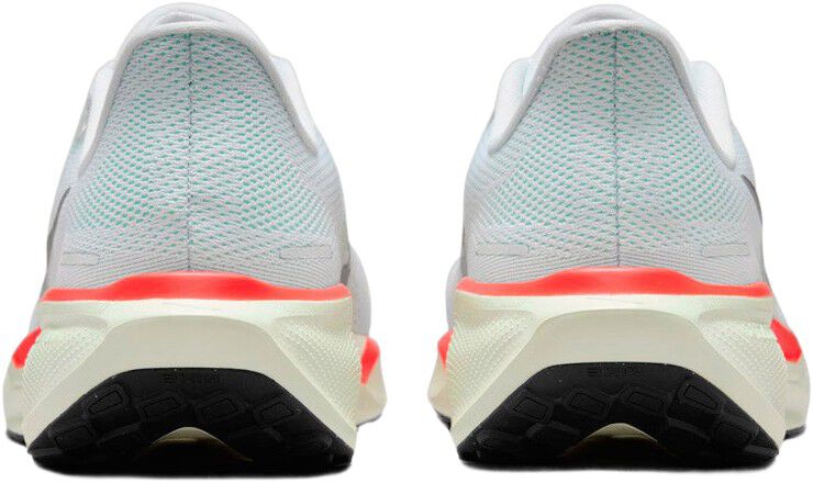 Pegasus 41 L&oslash;besko