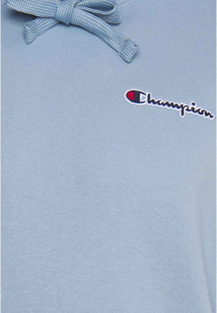 Small Script Logo Heavy Cotton h&aelig;ttetr&oslash;je