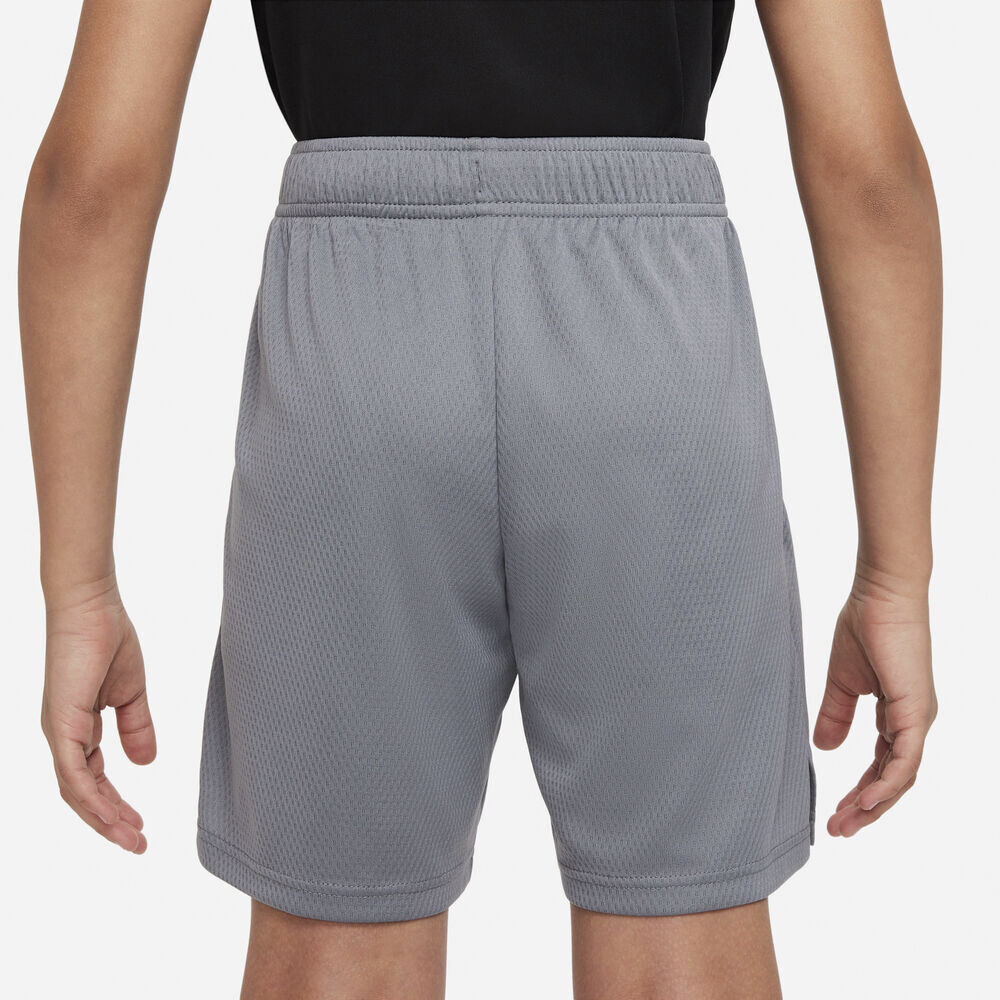 Dri Fit Traeningsshorts