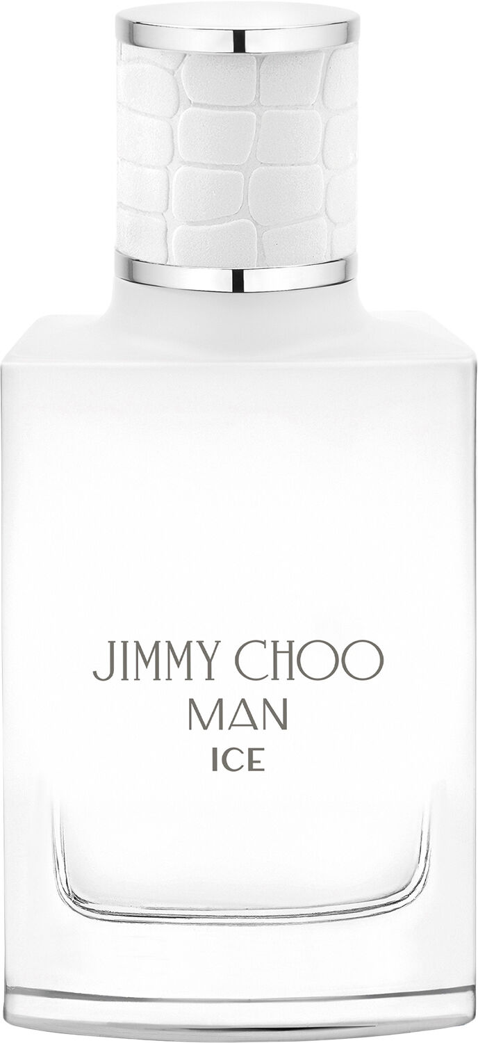 Man Ice Eau De Toilette