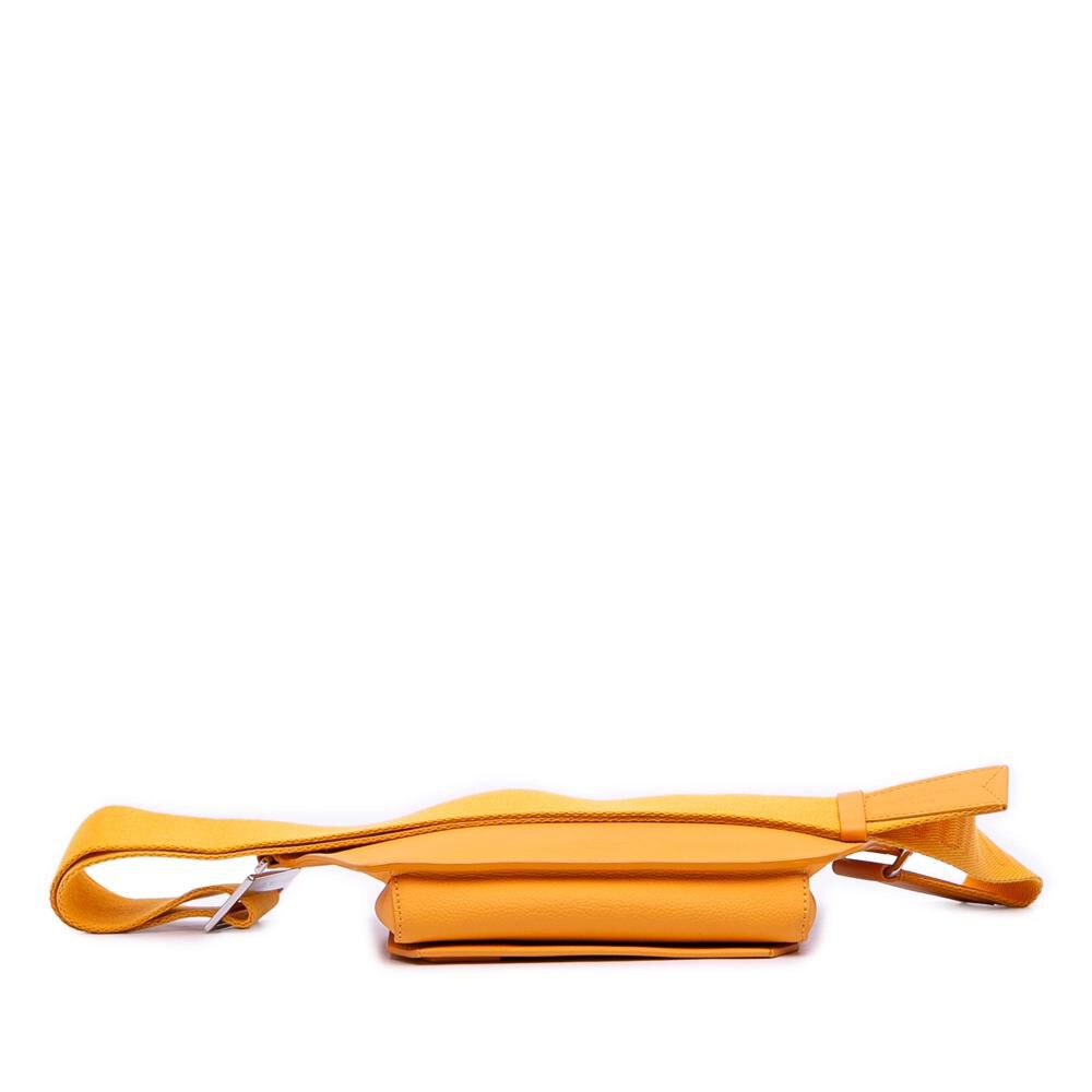 Louis Vuitton Belt Bags