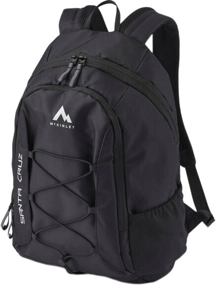 Santa Cruz 25 III rygs&aelig;k