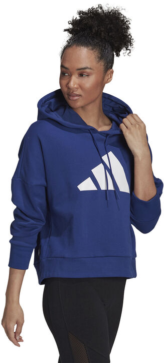 Sportswear Future Icons hættetrøje