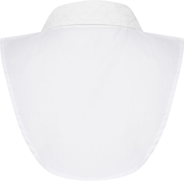 FAZACOLLAR 1 Accessoires