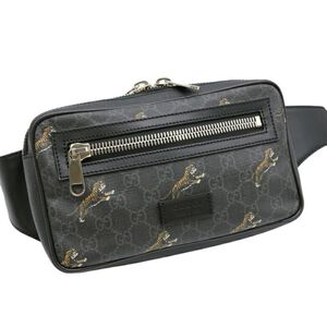 Gucci Backpack