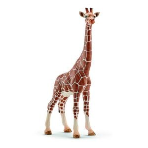 Sch Giraffe Female
